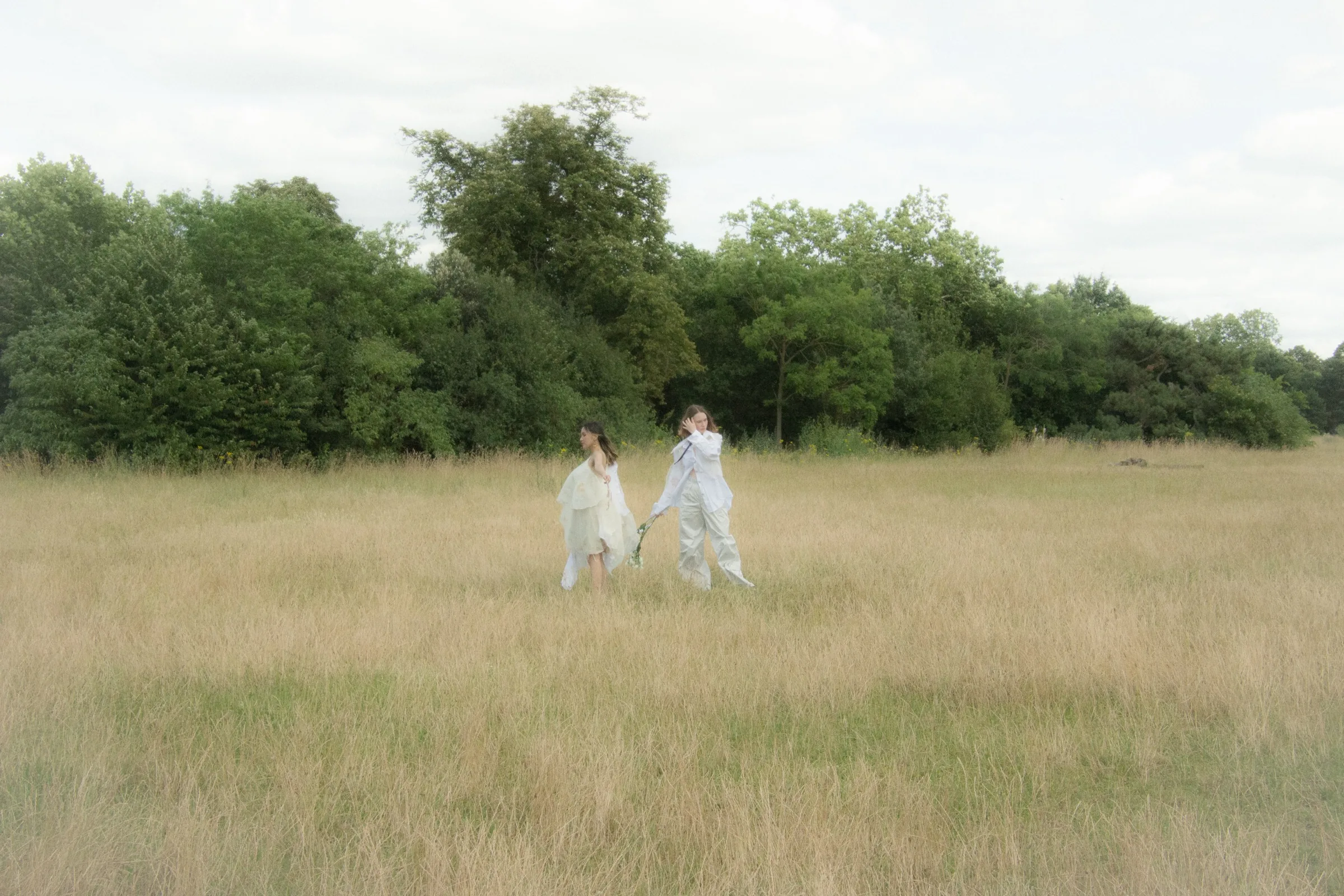 The pair walk the meadow in the distance, treeline behind