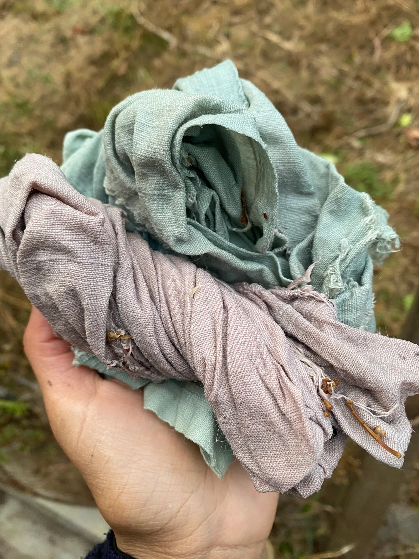 The dyed cloth lifted from the bath, sage and dusty rose